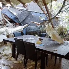 Interior-damage-after-large-tree-fell-into-house