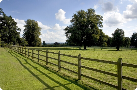 img-fencing-featured-paddock