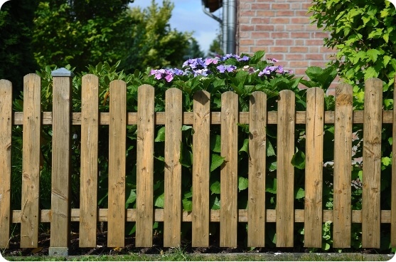 img-fencing-featured-vertical-board