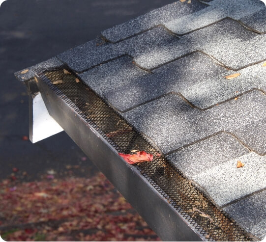 img-gutters-featured-pest-control